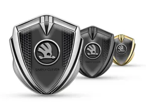 Skoda Emblema Coche Insignia Moderno Vista Superior Manera